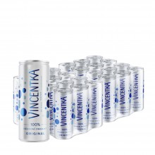 Vincentka Mineralwasser mit Kohlensäure, 24 x 250 ml