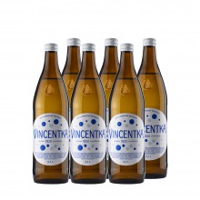 Vincentka Mineralwasser mit Kohlensäure, 6 x 700 ml