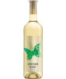 Sauvignon Blanc Wein Motyl