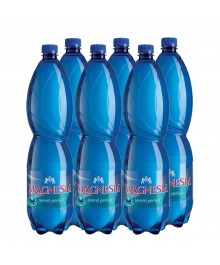 Magnesia sanftes Mineralwasser 1,5l Pack