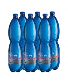 Magnesia stilles Mineralwasser 1,5l Pack