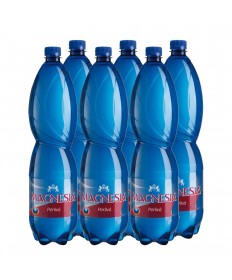 Magnesia Mineralwasser 1,5l Pack