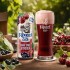 Kozel Johannisbeere Kirsche 24 × 0,5L Alkoholfrei